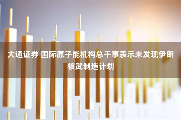 大通证券 国际原子能机构总干事表示未发现伊朗核武制造计划