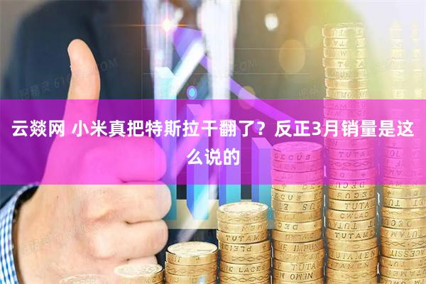 云燚网 小米真把特斯拉干翻了？反正3月销量是这么说的