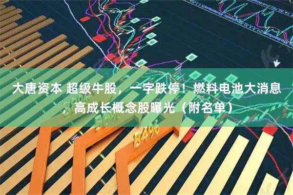 大唐资本 超级牛股，一字跌停！燃料电池大消息，高成长概念股曝光（附名单）