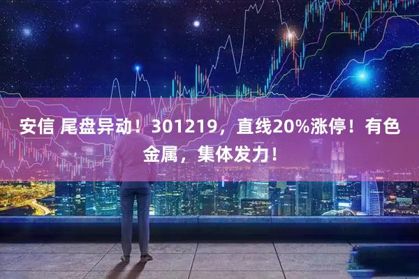 安信 尾盘异动!301219,直线20%涨停!有色金属,集体发力!