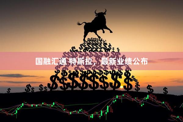 国融汇通 特斯拉，最新业绩公布