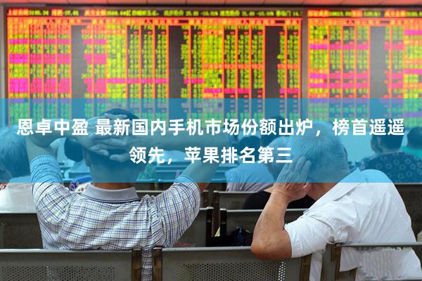 恩卓中盈 最新国内手机市场份额出炉，榜首遥遥领先，苹果排名第三
