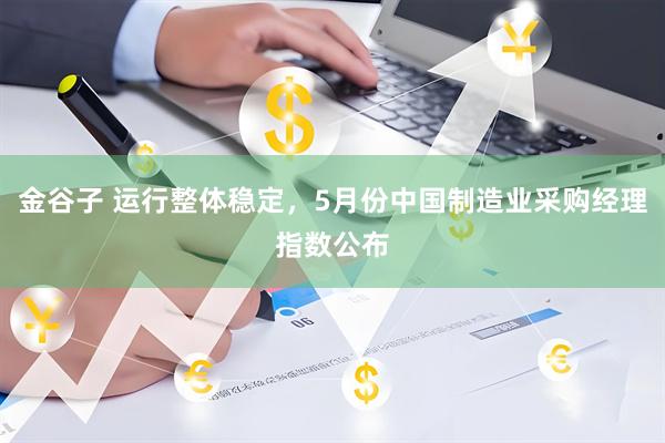 金谷子 运行整体稳定，5月份中国制造业采购经理指数公布