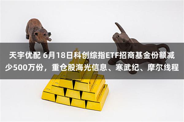天宇优配 6月18日科创综指ETF招商基金份额减少500万份，重仓股海光信息、寒武纪、摩尔线程