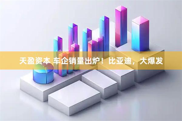 天盈资本 车企销量出炉!比亚迪,大爆发
