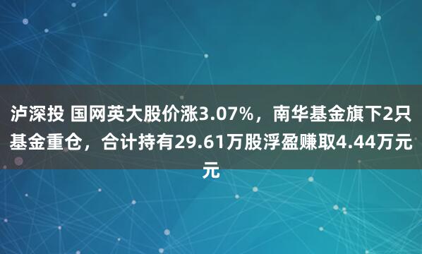 泸深投 国网英大股价涨3.07%，南华基金旗下2只基金重仓，合计持有29.61万股浮盈赚取4.44万元