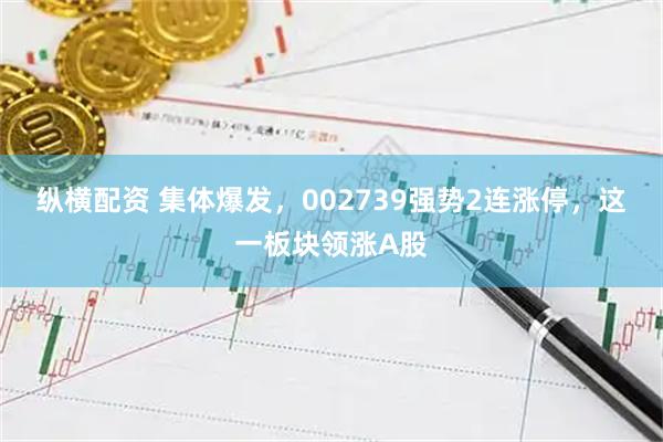 纵横配资 集体爆发，002739强势2连涨停，这一板块领涨A股