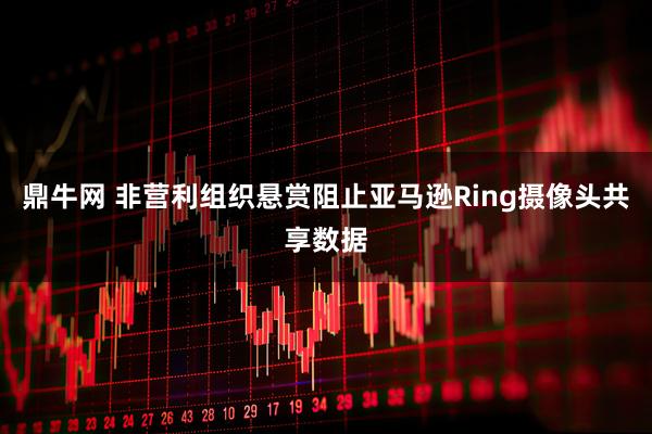 鼎牛网 非营利组织悬赏阻止亚马逊Ring摄像头共享数据