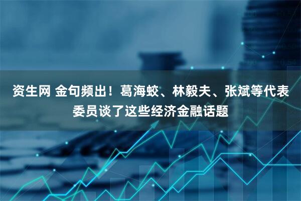 资生网 金句频出！葛海蛟、林毅夫、张斌等代表委员谈了这些经济金融话题