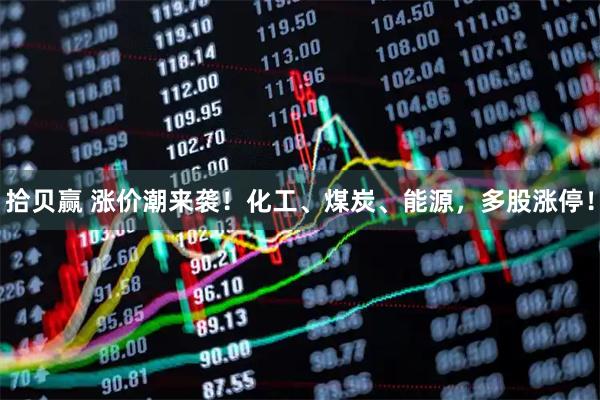 拾贝赢 涨价潮来袭！化工、煤炭、能源，多股涨停！