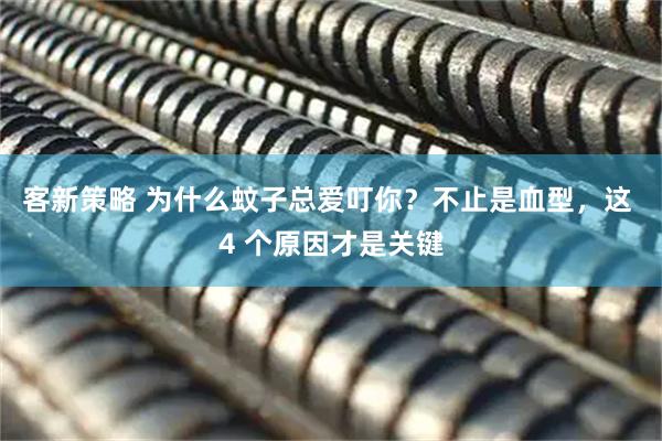 客新策略 为什么蚊子总爱叮你？不止是血型，这 4 个原因才是关键