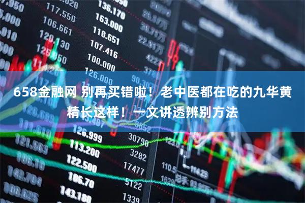 658金融网 别再买错啦！老中医都在吃的九华黄精长这样！一文讲透辨别方法