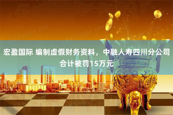 宏盈国际 编制虚假财务资料，中融人寿四川分公司合计被罚15万元