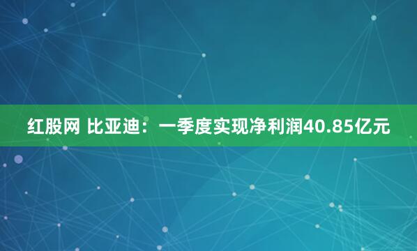 红股网 比亚迪：一季度实现净利润40.85亿元