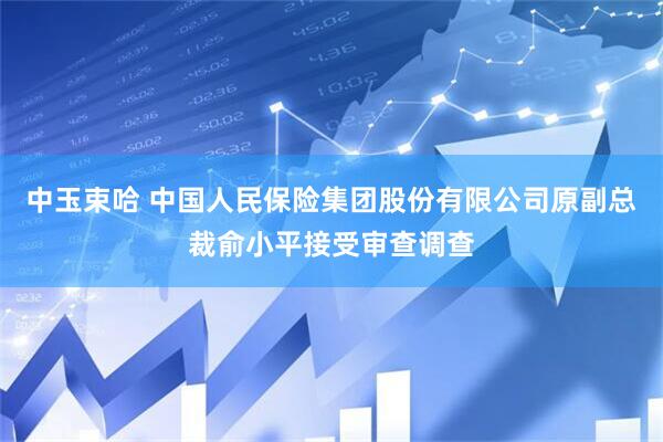 中玉束哈 中国人民保险集团股份有限公司原副总裁俞小平接受审查调查