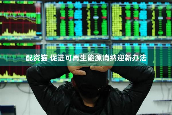 配资猫 促进可再生能源消纳迎新办法